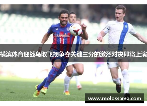 横滨体育迎战鸟取飞翔争夺关键三分的激烈对决即将上演
